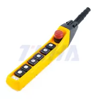 Пульт управления 6 кнопками 2 скорости, стоп, ключ, для кран балки, IP55 TNHA1-63FYS