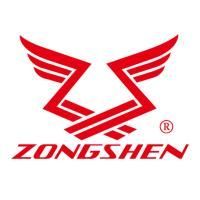 Двигатель бензиновый Zongshen GB 750 B EFI (D=28,575 мм) купить в Москве с доставкой по всей России | ProtosMarket.ru