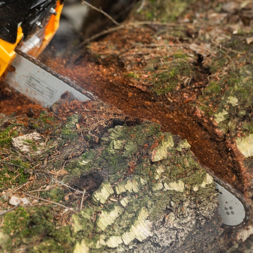 Пила цепная бензиновая DGS-4516, шина 40 см, 45 см3, 3 л.с, шаг 3/8, паз 1.3 мм, 57 звеньев Denzel по ценам производителя в Екатеринбурге с доставкой по всей России