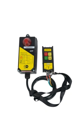 Комплект радиоуправления TOR F21-2S (380В, 2 кнопки) по ценам производителя в Екатеринбурге с доставкой по всей России