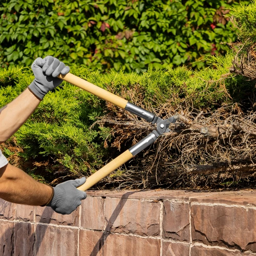 Сучкорез прямого реза, 500 мм, деревянные рукоятки, Горизонт, по ценам производителя в Екатеринбурге с доставкой по всей России