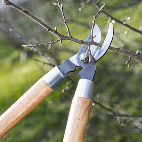 Сучкорез прямого реза, 640 мм, деревянные рукоятки, Palisad по ценам производителя в Екатеринбурге с доставкой по всей России