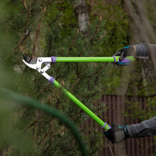 Сучкорез прямого реза, 750 мм, двухрычажный механизм, двухкомпонентные рукоятки, Palisad по ценам производителя в Екатеринбурге с доставкой по всей России