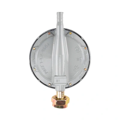 Редуктор бытовой пропановый РДСГ-1-1,2 купить в Москве с доставкой по всей России | ProtosMarket.ru