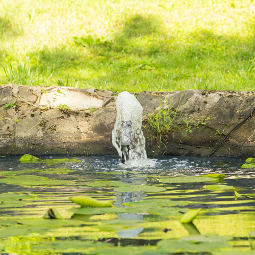 Насос фонтанный FNP90-39, 92 Вт, подъем 3,9 м, 3200 л/ч, колокольчик/каскад/гейзер Denzel по ценам производителя в Екатеринбурге с доставкой по всей России
