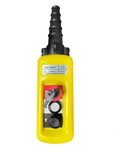 Пульт управления 2 кнопки, 2 скорости, стоп, ключ, IP65 A2913Y купить в Москве с доставкой по всей России | ProtosMarket.ru