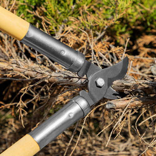 Сучкорез прямого реза, 500 мм, деревянные рукоятки, Горизонт, по ценам производителя в Екатеринбурге с доставкой по всей России