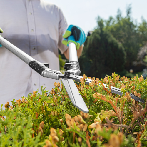 Кусторез, 600 мм, кованый, алюминиевые обрезиненные рукоятки, Forged LUXE Palisad по ценам производителя в Екатеринбурге с доставкой по всей России