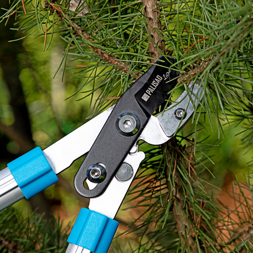 Сучкорез с наковальней, 560 - 740 мм, телескопические алюминиевые рукоятки, Luxe, Palisad по ценам производителя в Екатеринбурге с доставкой по всей России