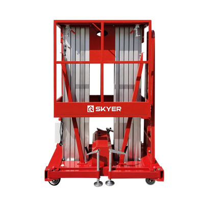 Двухмачтовый подъемник SKYER GTWY10-200 AC/DC купить в Москве с доставкой по всей России | ProtosMarket.ru