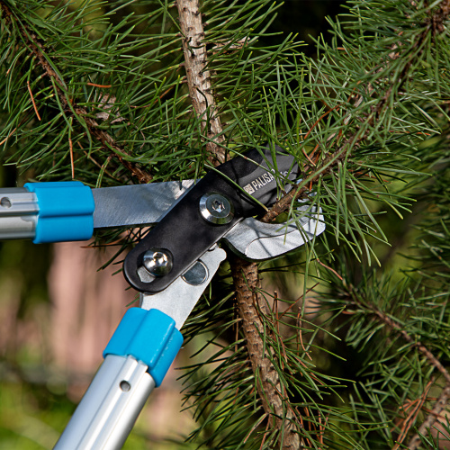 Сучкорез прямого реза, 560 - 735 мм, телескопические алюминиевые рукоятки, Luxe, Palisad по ценам производителя в Екатеринбурге с доставкой по всей России