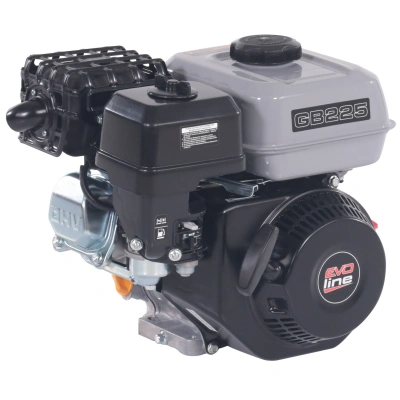 Двигатель бензиновый EVOline GB 225 купить в Москве с доставкой по всей России | ProtosMarket.ru