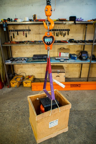 Весы электронные крановые TOR OCS-L 500кг по ценам производителя в Екатеринбурге с доставкой по всей России