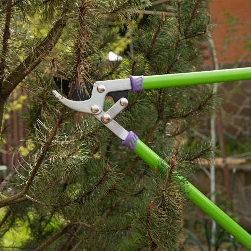 Сучкорез прямого реза, 750 мм, двухрычажный механизм, двухкомпонентные рукоятки, Palisad по ценам производителя в Екатеринбурге с доставкой по всей России