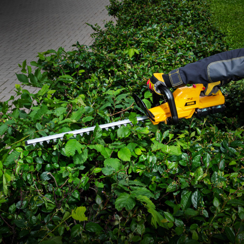 Кусторез аккумуляторный RBC510-36, Li-ion, 36 В, 4 Ач, нож 510 мм, поворотная ручка Denzel по ценам производителя в Екатеринбурге с доставкой по всей России