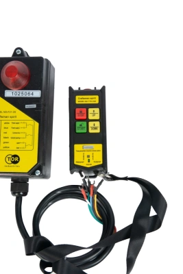 Комплект радиоуправления TOR F21-2S (380В, 2 кнопки) по ценам производителя в Екатеринбурге с доставкой по всей России