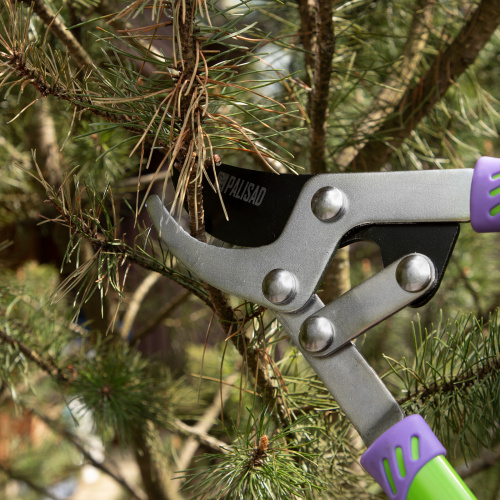 Сучкорез прямого реза, 750 мм, двухрычажный механизм, двухкомпонентные рукоятки, Palisad по ценам производителя в Екатеринбурге с доставкой по всей России