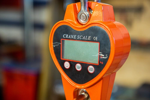 Весы электронные крановые TOR OCS-L 500кг по ценам производителя в Екатеринбурге с доставкой по всей России