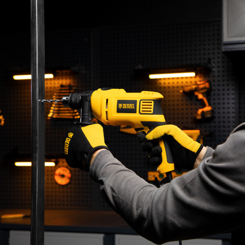 Дрель ударная ID-750, 750 Вт, 0-3000 об/мин, 48000 уд/мин Denzel по ценам производителя в Екатеринбурге с доставкой по всей России