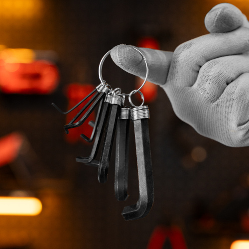 Набор ключей имбусовых HEX, 1.5-10 мм, CrV, 10 шт, оксидированные, на кольце Sparta по ценам производителя в Екатеринбурге с доставкой по всей России